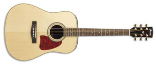 An Acoustic Guitar