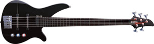 A 5 string Bass